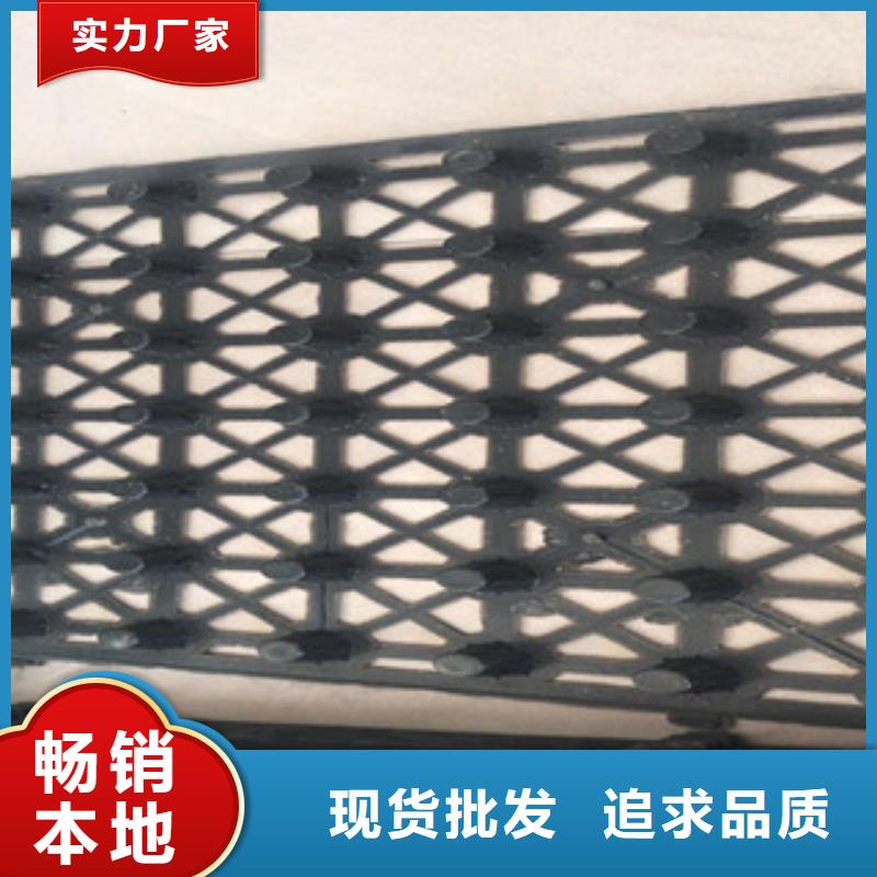 蓄排水板土工布厂家符合行业标准