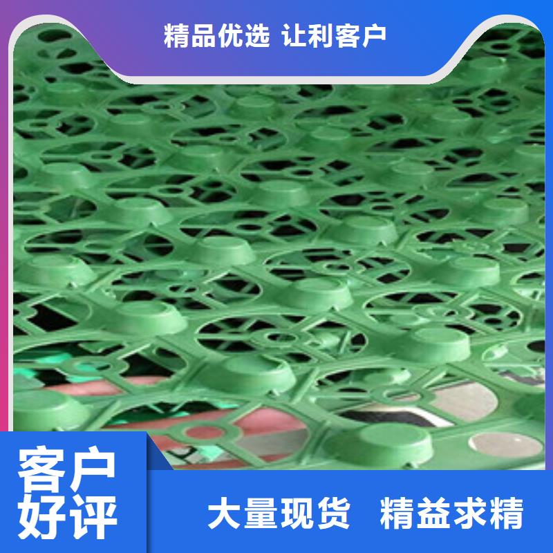 【蓄排水板】土工布厂家按需定制