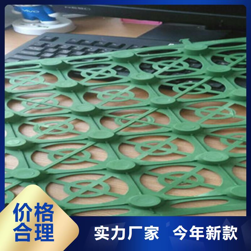 蓄排水板植草格厂家细节严格凸显品质