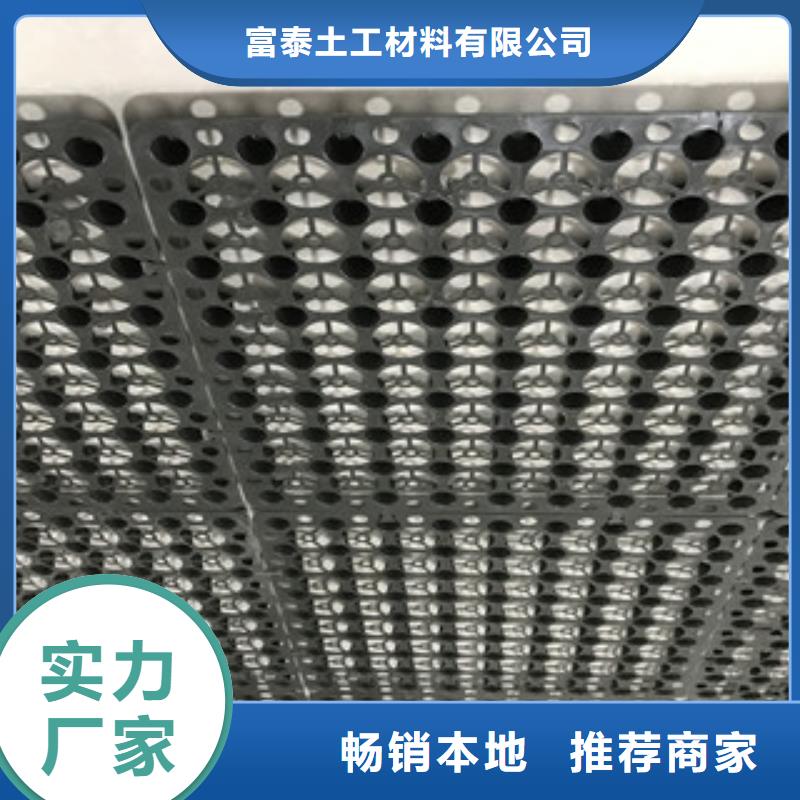 蓄排水板膨润土防水毯厂家源头厂家量大价优