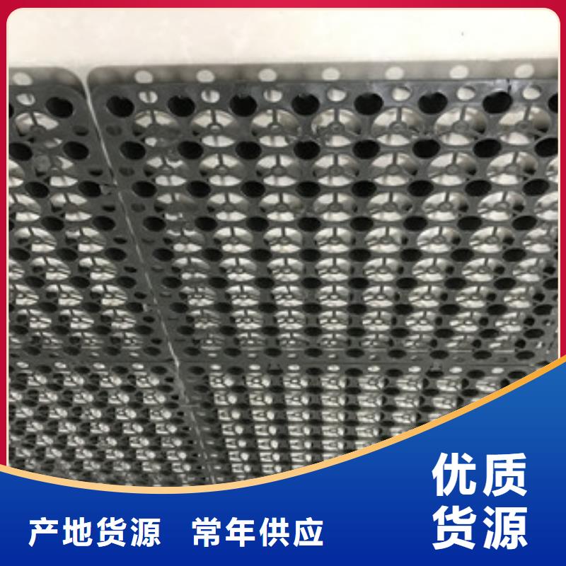 蓄排水板土工布厂家多种规格供您选择