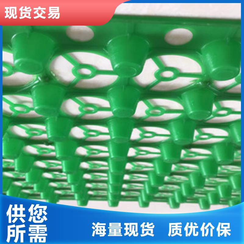 蓄排水板植草格厂家拥有核心技术优势