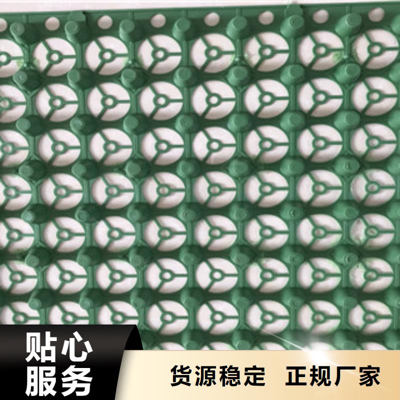 蓄排水板排水板厂家一个起售