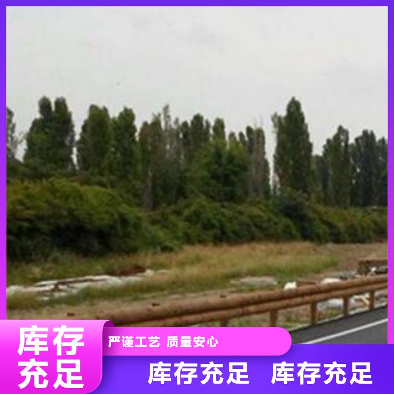 钢背木护栏,【桥梁灯光护栏】诚信经营质量保证