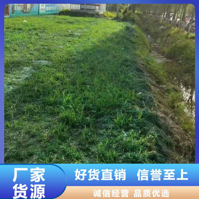 铁路煤炭运输抑尘剂实惠工厂直供