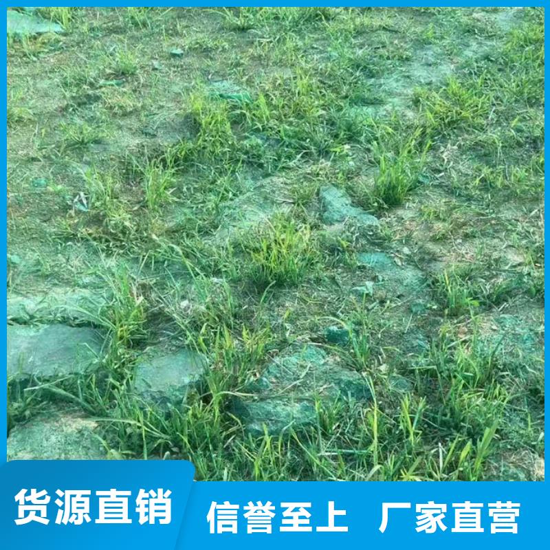 生物酶抑尘剂产地工厂