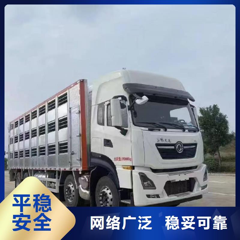 苏州到活禽运输口碑良好