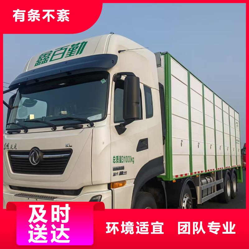 枣庄到高栏车肥猪运输温柔对待