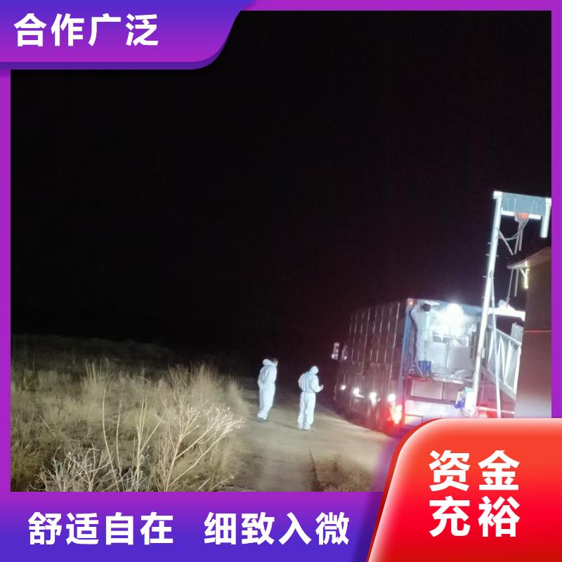 宿迁到牲畜运输方便快捷