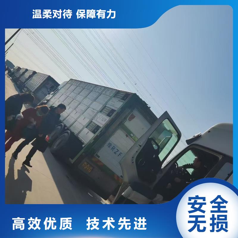 宿迁泗阳到羊运输专用车