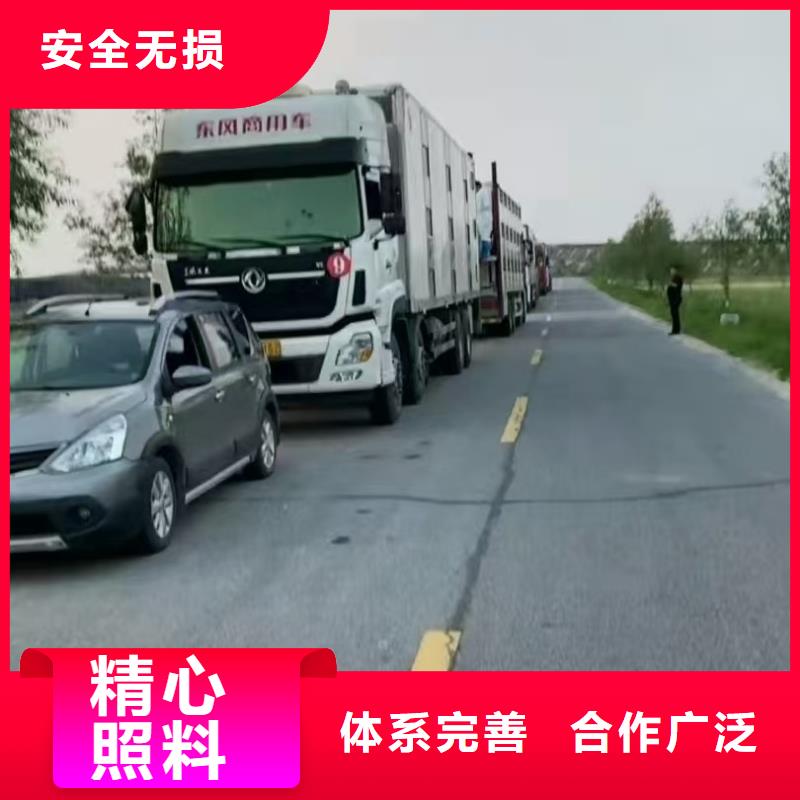 宿迁市到牛运输专用车小心谨慎