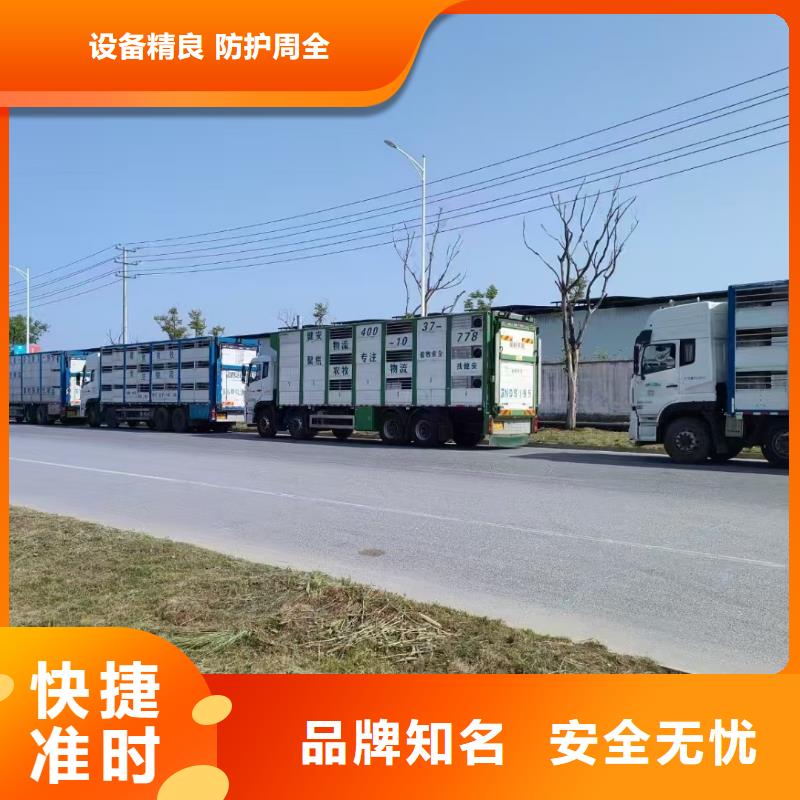 宿迁泗洪到农牧运输