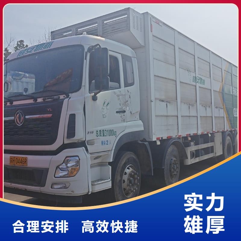 宿迁市泗洪到活禽物流整车运输