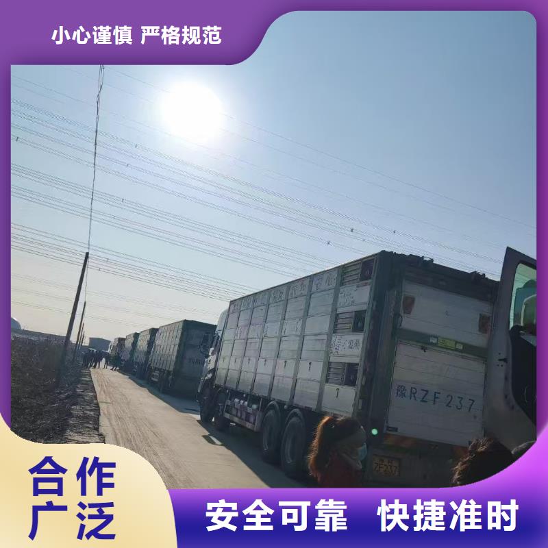 宿迁市沭阳到种猪运输防护周全
