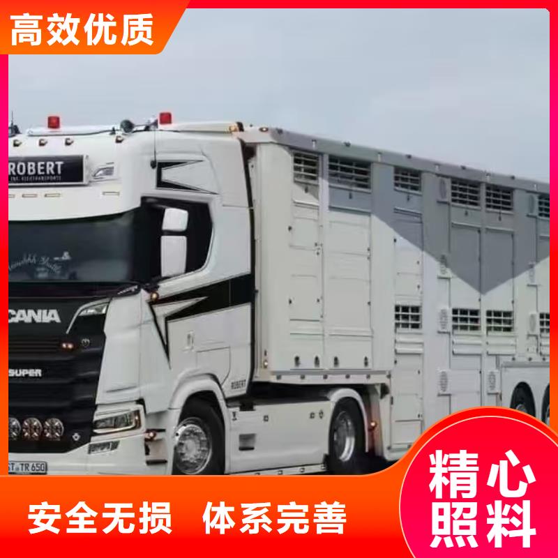 苏州到活禽运输口碑良好