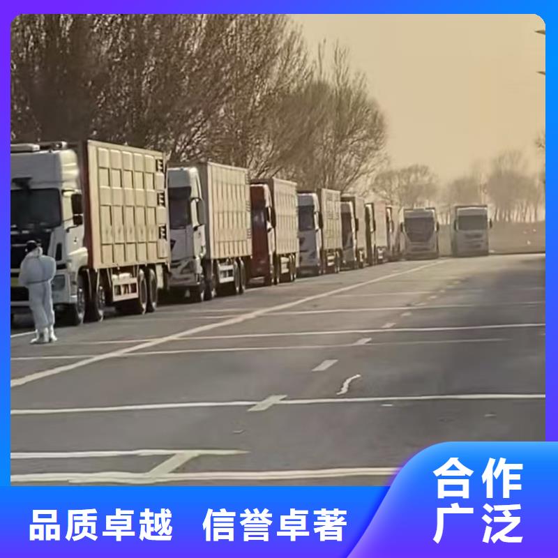宿迁市泗洪到活禽物流资源充足