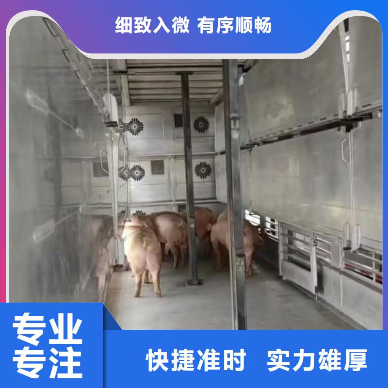 宿迁沭阳到猪笼车物流