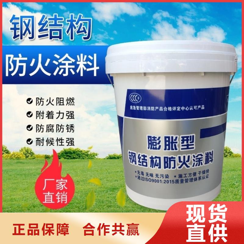 阻燃专业涂料厂家直销