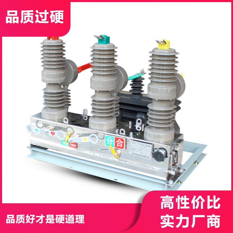 黄石ZW8-12G/630-20真空断路器售后无忧