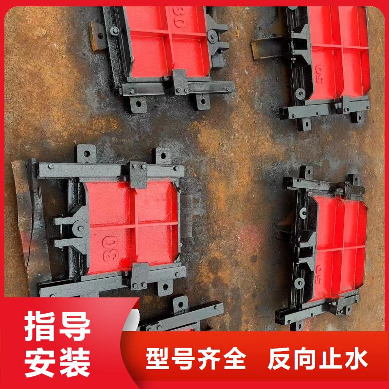 惠州铸铁闸门_铸铁镶铜闸门全国施工