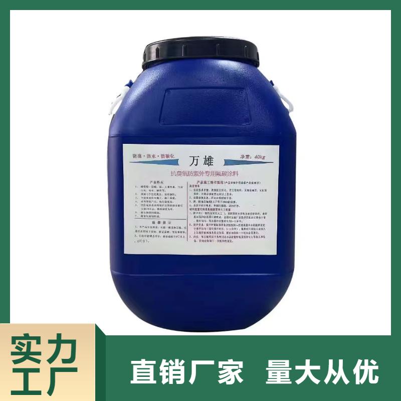 LV高分子聚合物防水防腐涂料实地大厂免费寄样