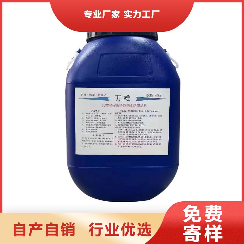 CSPA渗透结晶型防腐防水涂料按需生产厂家LV高分子聚合物防水防腐涂料
