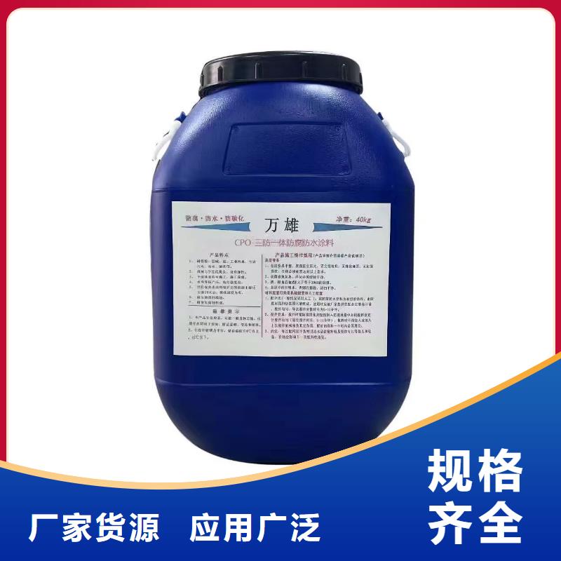 PSQ高强防水防腐涂料400型优良工艺实体厂家RLFA水性聚乙烯防腐涂料(污水厂)