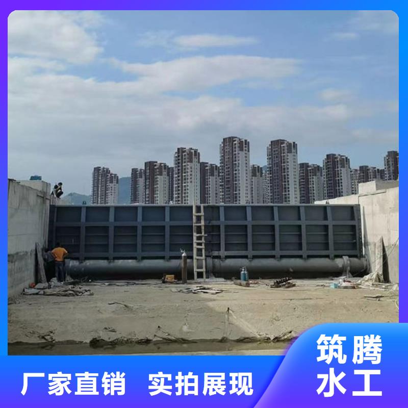 液压式翻板闸门厂家货源
