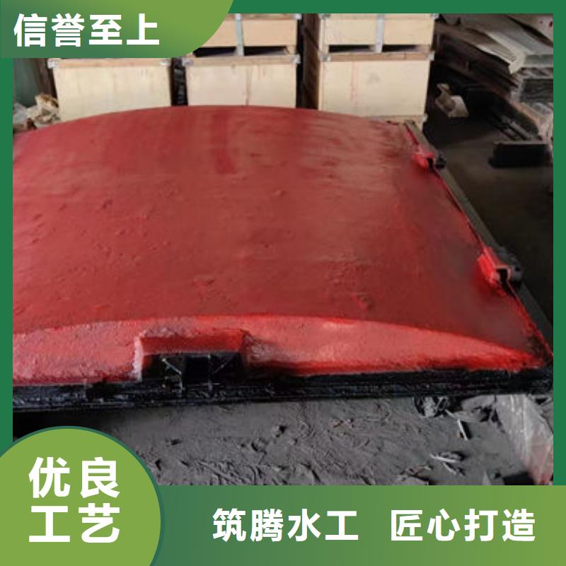 雨污分流闸门源头厂家