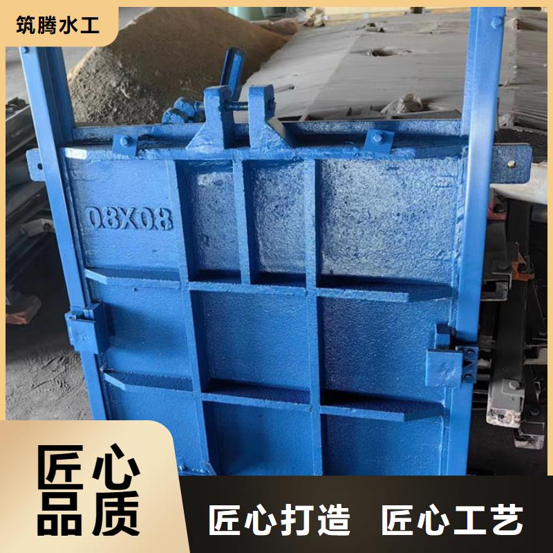 双向镶铜铸铁闸门型号齐全