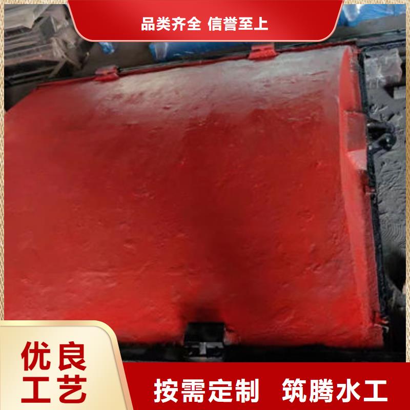 雨污分流闸门源头厂家
