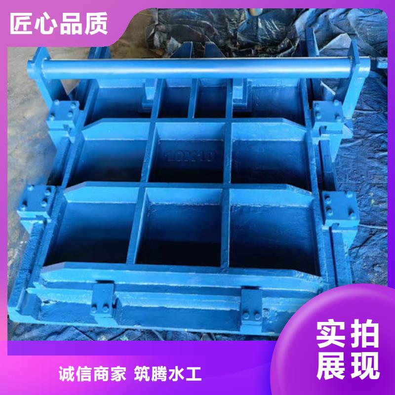 渠道闸门型号齐全