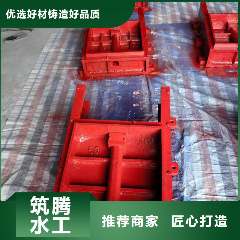 镶铜铸铁闸门厂家直营