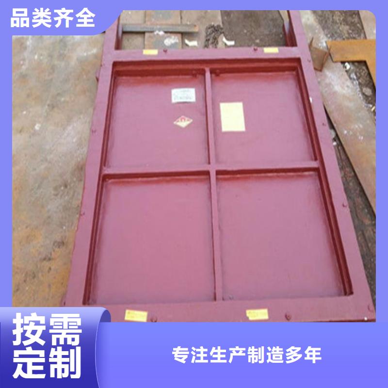 双向镶铜铸铁闸门型号齐全