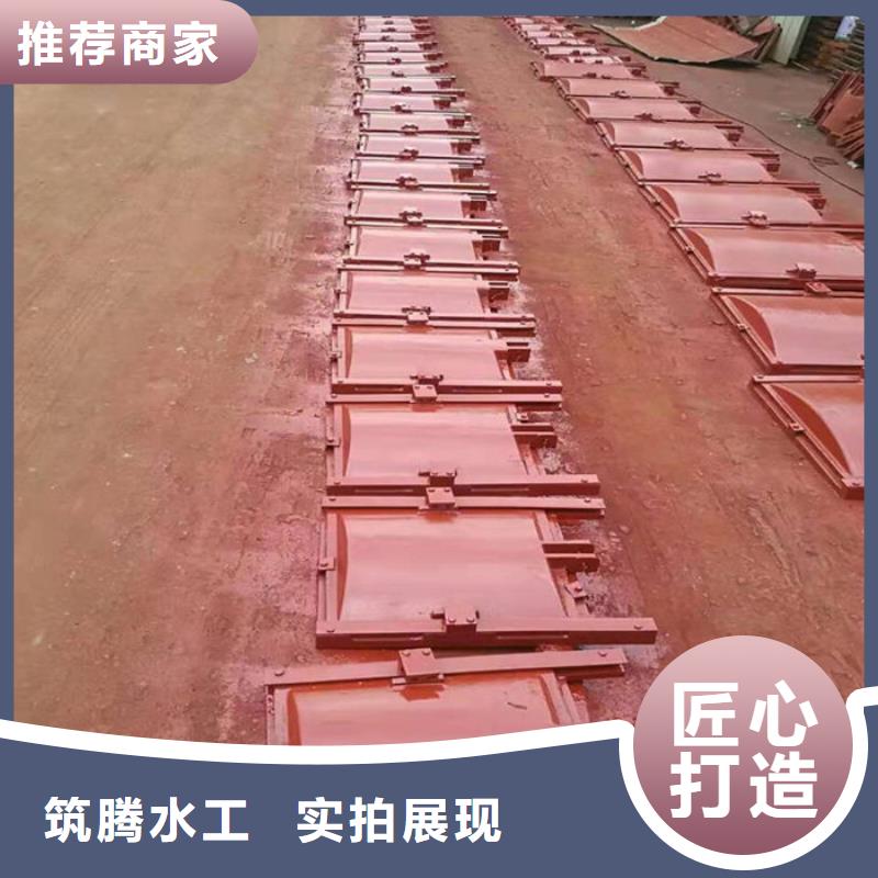 涵管铸铁闸门源头厂家