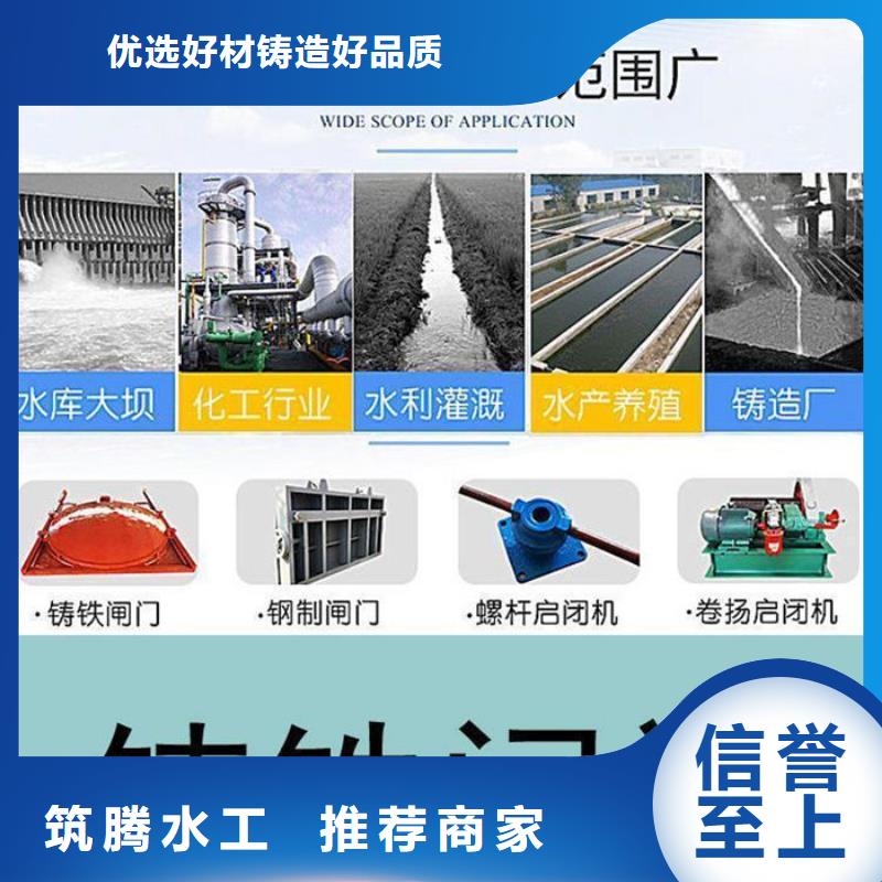 雨污分流闸门厂家直营