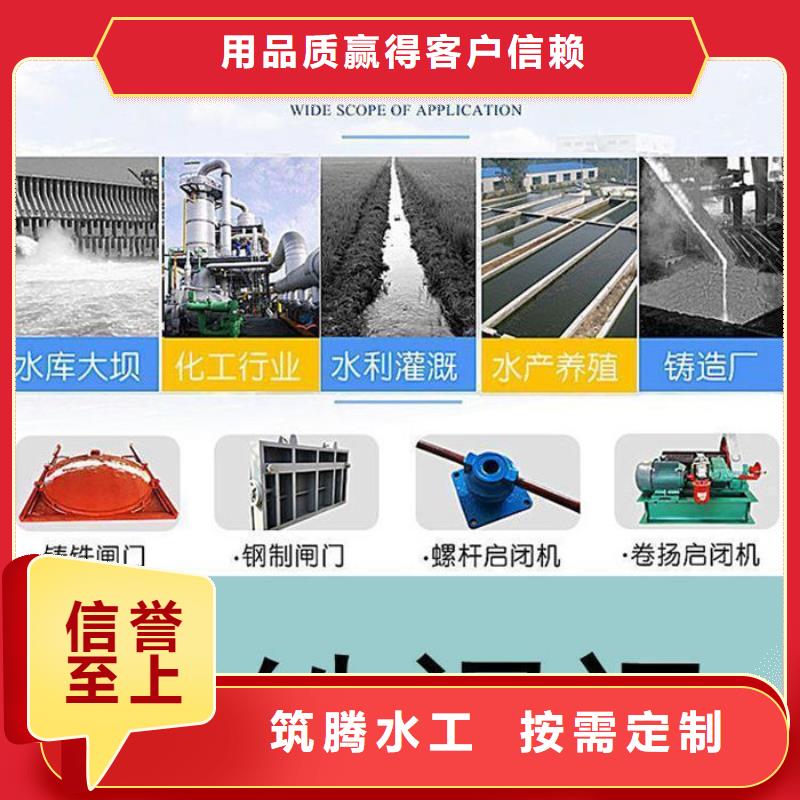 双向铸铁闸门型号齐全