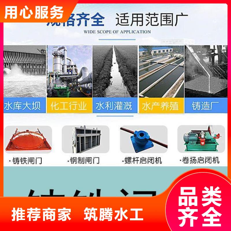 铸铁镶铜闸门型号齐全