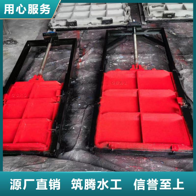 PGZ铸铁闸门用心经营