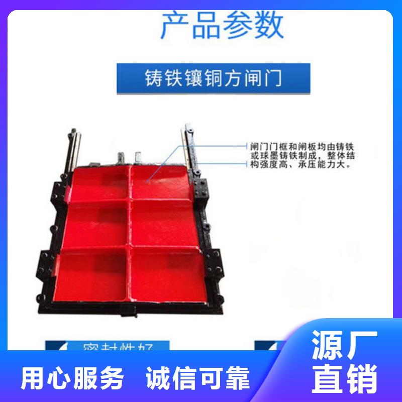 附壁式铸铁闸门型号齐全