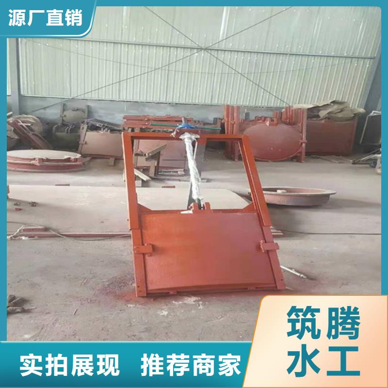 双向镶铜铸铁闸门型号齐全