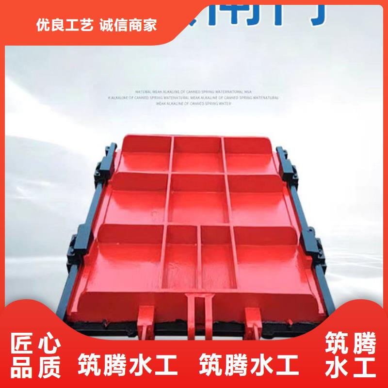 镶铜铸铁闸门厂家直营