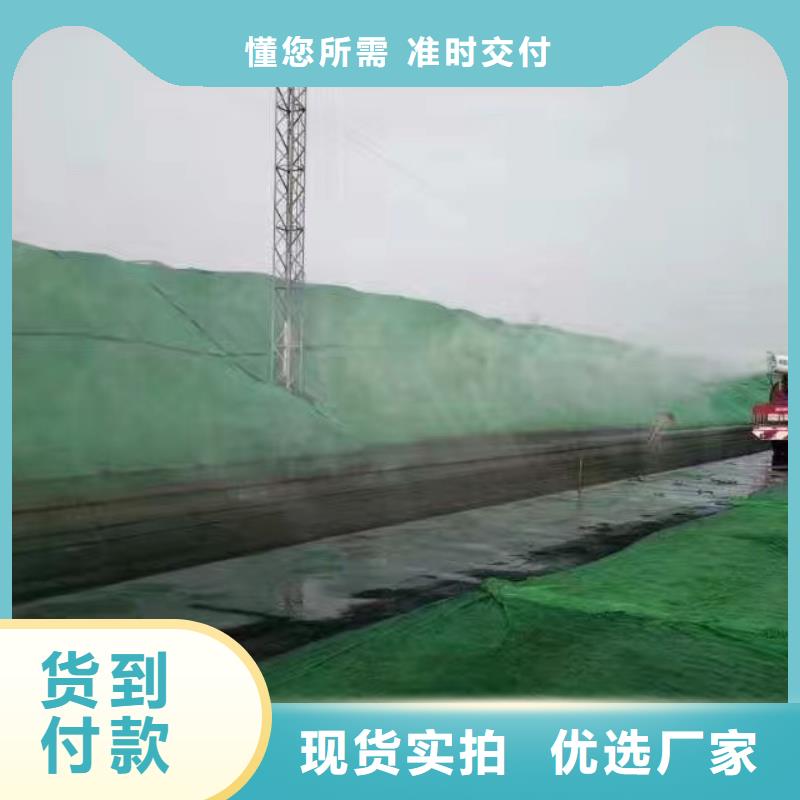 铁路煤炭运输抑尘剂符合标准