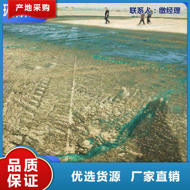 道路生物型降尘剂厂家
