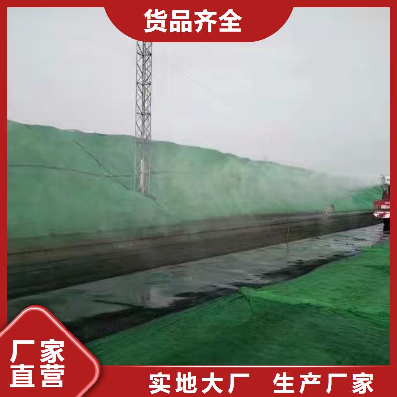 道路生物型降尘剂实力生产厂家